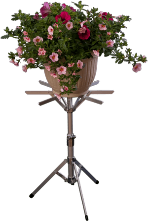 Clipart Flower Stand Png, Transparent Png PNG with transparent background