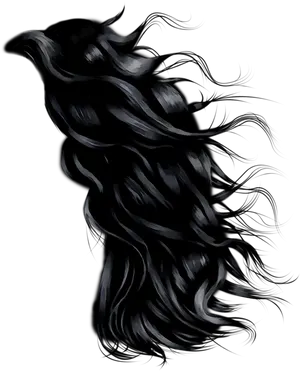 Flowing Black Hair Artwork PNG Image