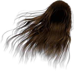 Hair In The Wind Png, Transparent Png PNG with transparent background