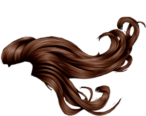 Mermaid Hair Png - Brown Hair In Wind, Transparent Png PNG