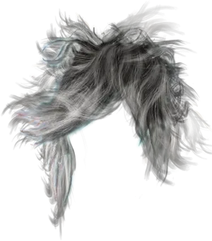 Flowing Mane Artistic Representation PNG Image