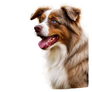 Fluffy Australian Shepherd Png 06202024 PNG Image