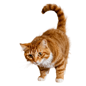 Fluffy Cat PNG 05232024 PNG