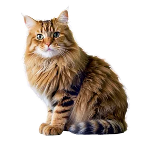 Fluffy Cat Png Gdt58 PNG Image