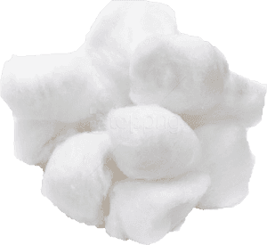 Free Png Cotton Ball Png Images Transparent - Tremella, Png Download PNG image with transparent background