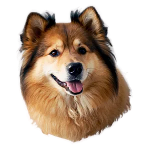 Fluffy Dog Face Picture Png Irg PNG Image