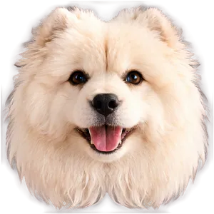 Fluffy Dog Face Picture Png Kpb55 PNG Image