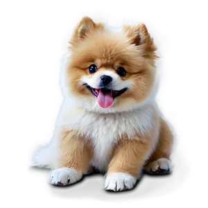 Fluffy Dogs Png 85 PNG Image
