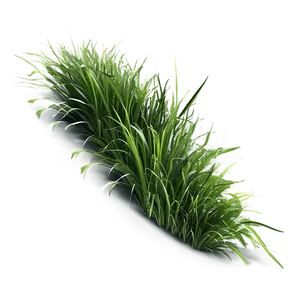 Fluffy Green Grass Png Xlk PNG Image