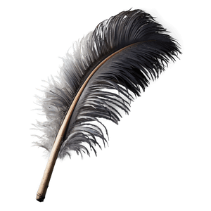 Fluffy Ostrich Feather PNG 05042024 PNG image with transparent background