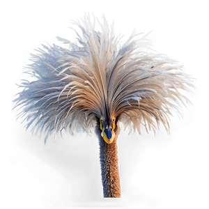 Fluffy Ostrich Feather PNG 67 PNG image with transparent background