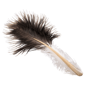 Fluffy Ostrich Feather PNG vry76 PNG image with transparent background