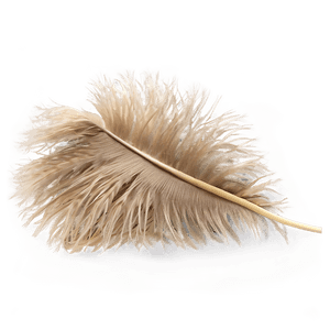 Fluffy Ostrich Feather PNG xvp99 PNG image with transparent background
