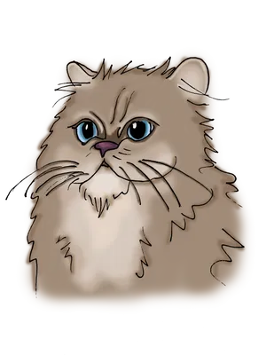 Fluffy Persian Cat Illustration PNG Image