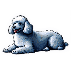 Fluffy Poodle Sketch PNG idf62 PNG image with transparent background