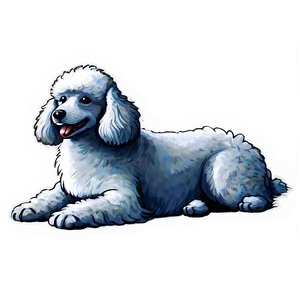 Fluffy Poodle Sketch Png Idf62 PNG Image