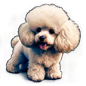 Fluffy Poodle Sketch Png Mca87 PNG Image