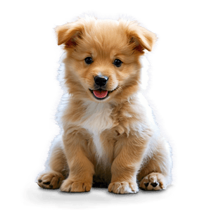 Fluffy Puppy PNG rqb PNG image with transparent background