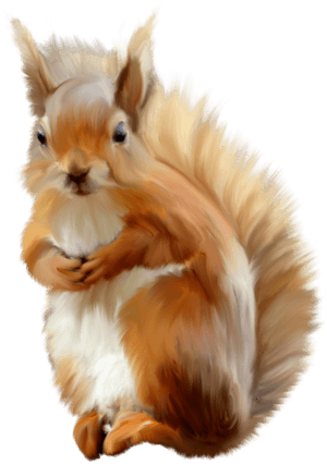 Fluffy Red Squirrel Artwork PNG image with transparent background
