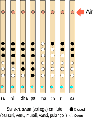 Flute Fingering Chart Sanskrit Svara PNG image with transparent background