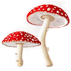 Fly Agaric Fungus Png 06242024 PNG Image