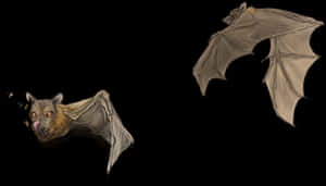 Flying_ Bats_ Illustration PNG with transparent background