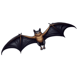Flying Bats PNG xdi PNG image with transparent background