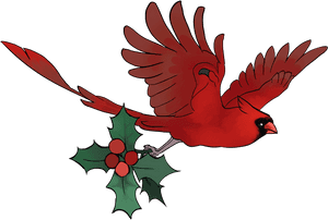 Cardinal Vector Flying - Cardinal Png, Transparent Png PNG image with transparent background