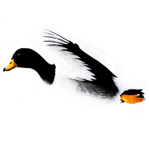 Flying Duck Silhouette PNG pau43 PNG image with transparent background