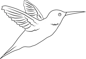 Flying Hummingbird Line Art PNG Image