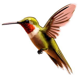 Flying Hummingbird PNG 05212024 PNG image with transparent background