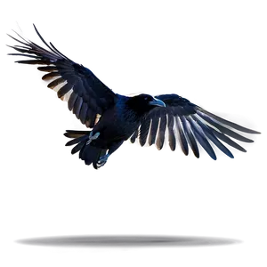 Flying Raven Png 05062024 PNG Image