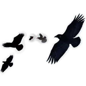 Flying Ravens Silhouette Png Xqc PNG Image