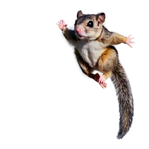 Flying Squirrel In Action Png Oyh2 PNG Image