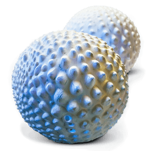 Foam Ball PNG 52 PNG image with transparent background