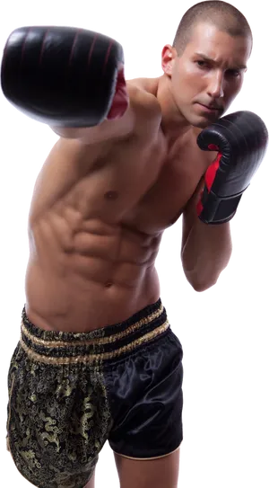 Focused Boxer Readyto Strike PNG Image