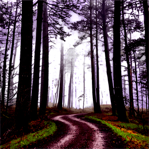 Foggy Forest Path PNG 06202024 PNG with transparent background