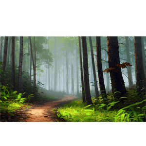 Foggy Forest Path PNG tjf PNG