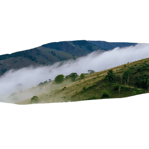 Foggy Valley PNG 05042024 PNG