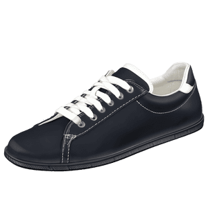Footwear Fashion PNG ejr PNG image with transparent background