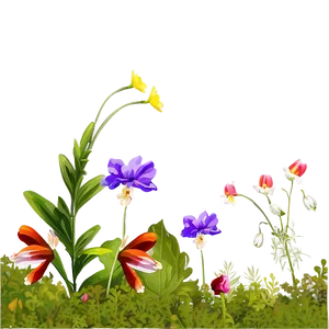 Forest Edge Wildflowers Png Fgs76 PNG Image