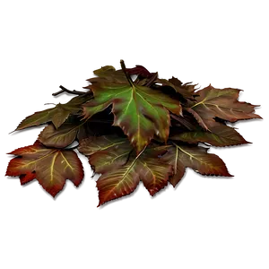 Forest Floor With Fallen Leaves Png Frj29 PNG Image