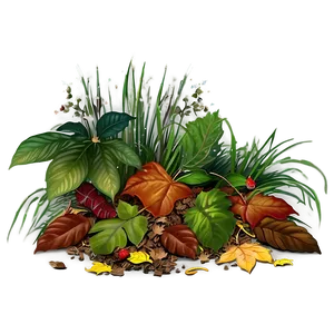 Forest Floor With Fallen Leaves Png Yma4 PNG Image