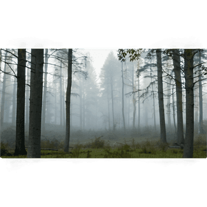 Forest Fog PNG uwg92 PNG image with transparent background