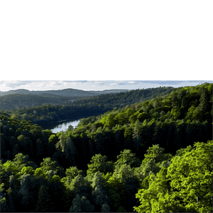 Forest Landscape PNG 06112024 PNG image with transparent background