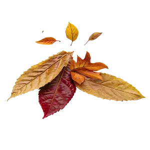 Forest Leaves Falling Png Lok PNG Image