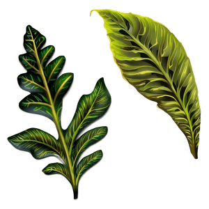 Forest Leaves PNG 05042024 PNG image with transparent background