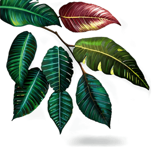 Forest Leaves PNG 05042024 PNG image with transparent background