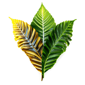 Forest Leaves PNG 88 PNG image with transparent background