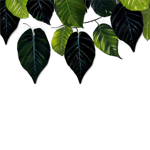 Forest Leaves PNG tvh PNG image with transparent background